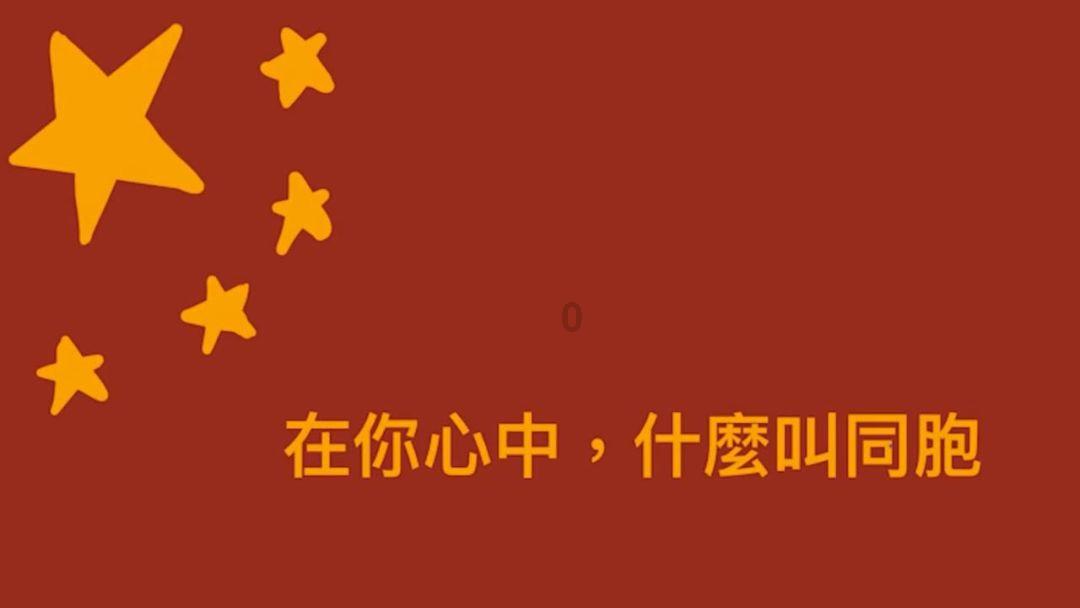 可爱小猫向上跳